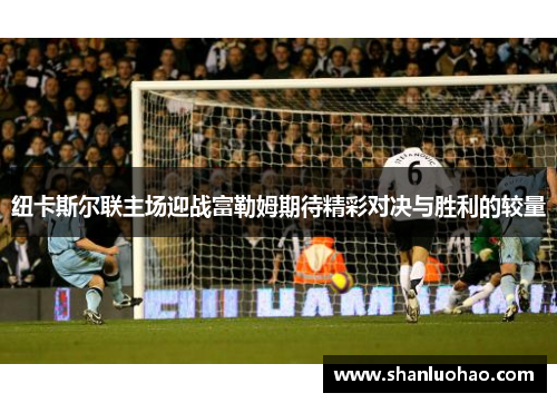 纽卡斯尔联主场迎战富勒姆期待精彩对决与胜利的较量